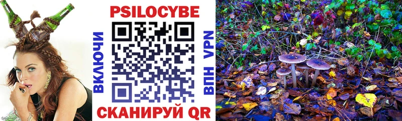 Псилоцибиновые грибы Cubensis Катайск