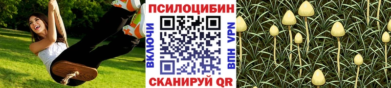 Галлюциногенные грибы Psilocybine cubensis  Купить где  Катайск 